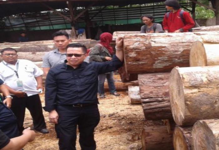 KLHK Musnahkan 5 Ribu Kayu Ilegal Di Sumsel